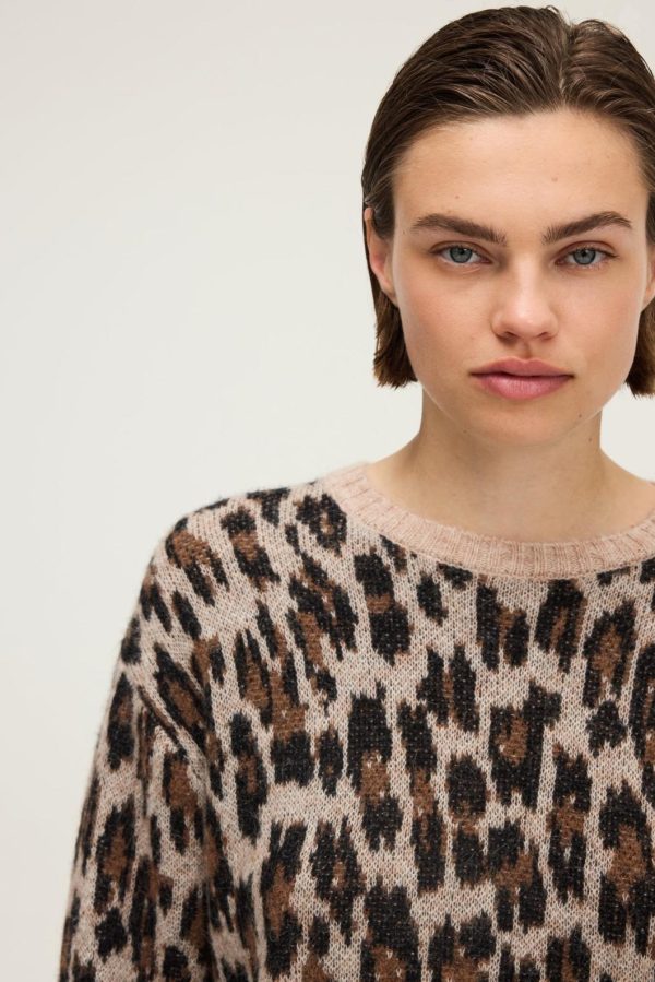 Sarahsport.shopd70d0c5b7e 3