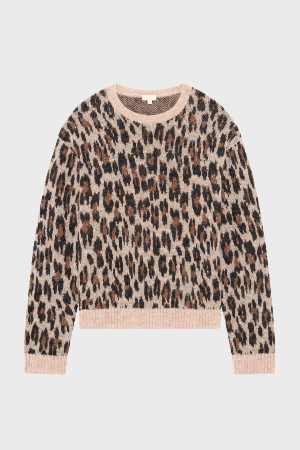 Sarahsport.shopd70d0c5b7e 5